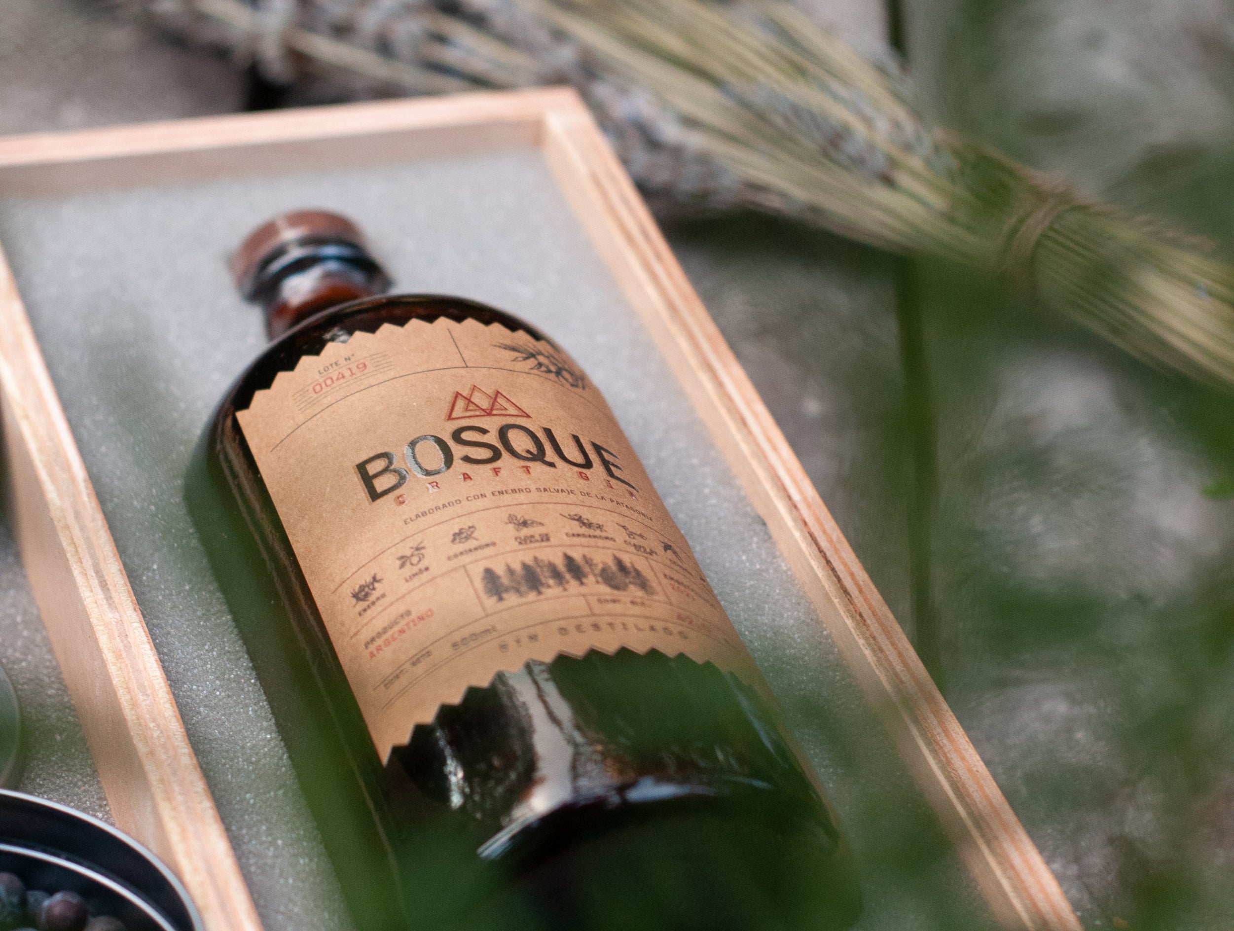 KIT 6 BOTÁNICOS + BOSQUE NATIVO