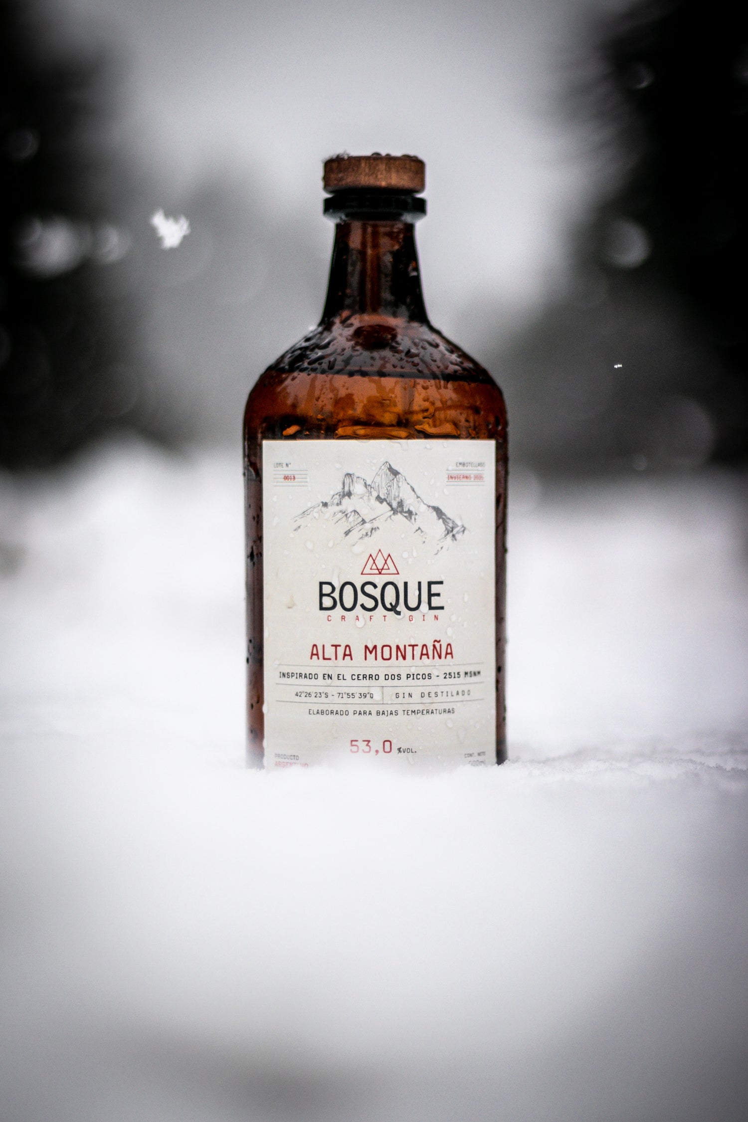 Bosque Gin I Multi Awardwinning Gin B Corp Certified BosqueGin